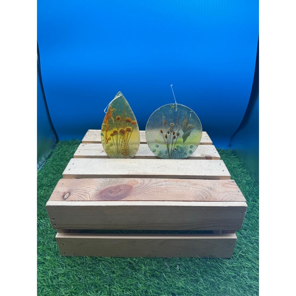 Vintage Lucite Resin Botanical Sun Catcher Lot - Embedment Wall Hanging Art 2pc